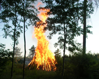 kokko