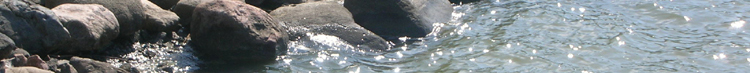 banneri