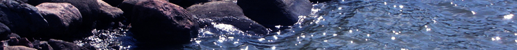 banneri
